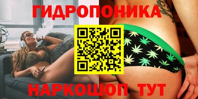 дмт Волжский