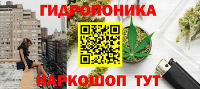 крисы Волжск
