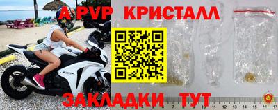 мяу мяу мука Аргун