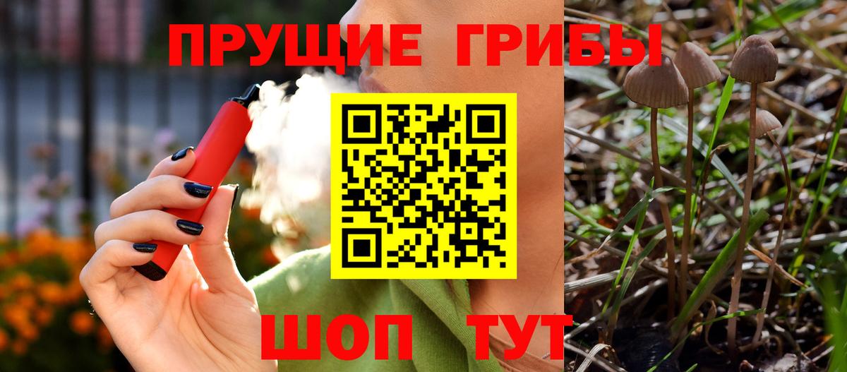 Грязи  Псилоцибиновые грибы мицелий  Вход с VPN  Галлюциногенные грибы Magic Shrooms 